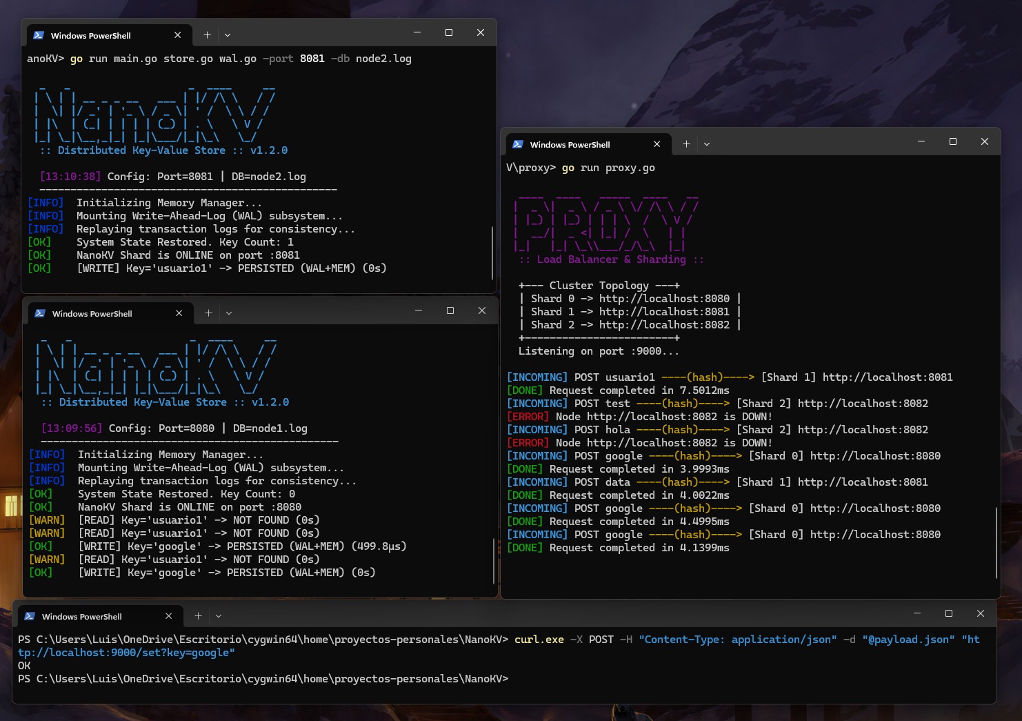 NanoKV Distributed DB